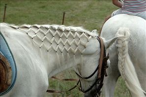 DSC_0093 (2)